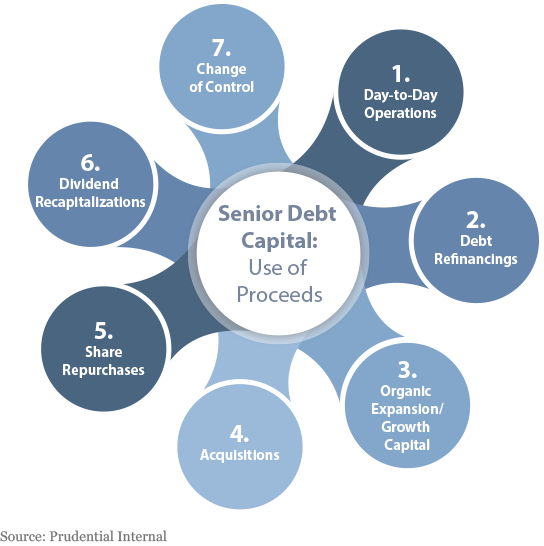 7 Uses for Senior Debt Capital